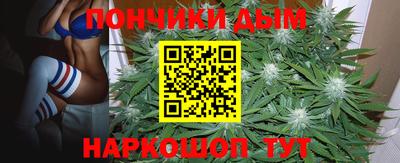 крисы Будённовск