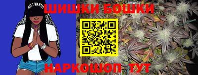 крисы Будённовск