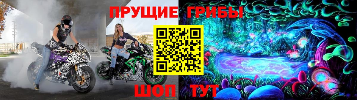 Галлюциногенные грибы Psilocybe  Галлюциногенные грибы прущие грибы  Сунжа  Вход с VPN 